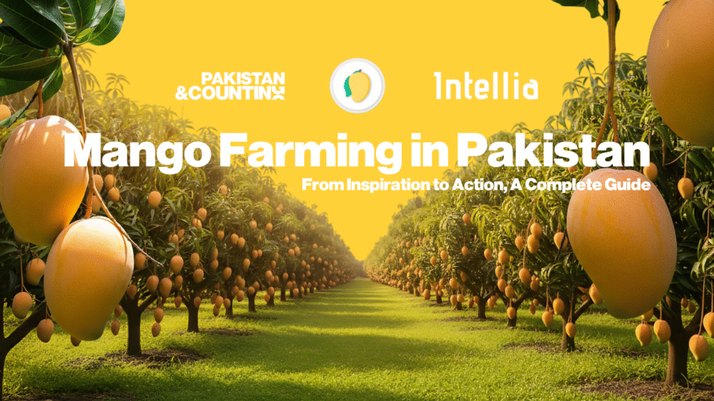 Mango Farming in Pakistan — Pakistan & Counting industry deck