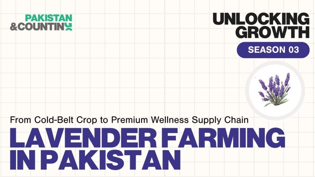 Unlocking the Lavender Business in Pakistan — Pakistan & Counting industry deck