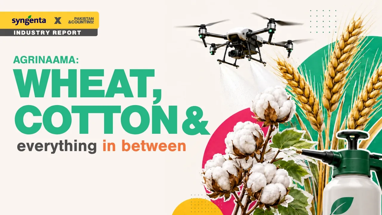 Wheat, Cotton & Everything In Between — Pakistan & Counting industry deck