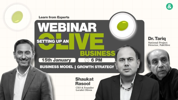 Webinar: Olive farming business