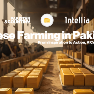 Cheese Farming in Pakistan