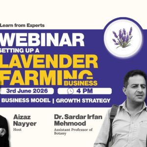 Unlocking the lavender Business in Pakistan