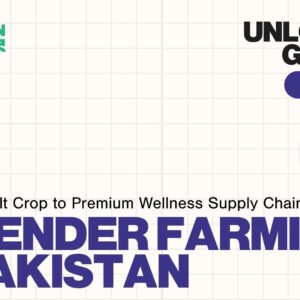 Unlocking the Lavender Business in Pakistan